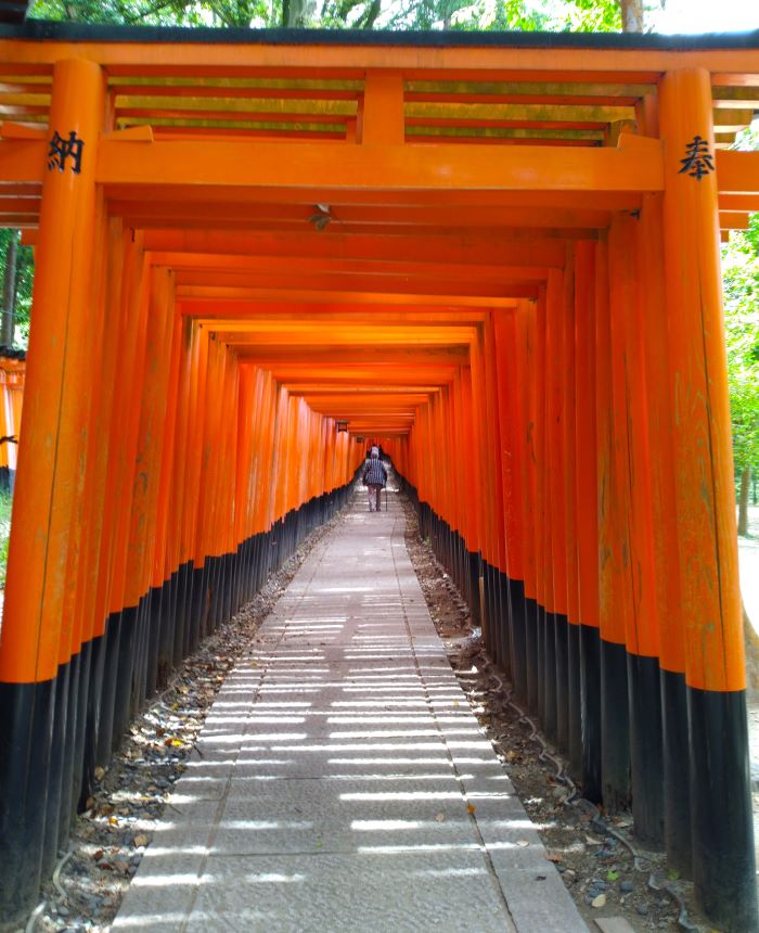 Senbon Torii, the thousand Torii Gate painted in brilliant vermilion in Fushimi Inari Taisha Shrine in Kyoto, Japan.