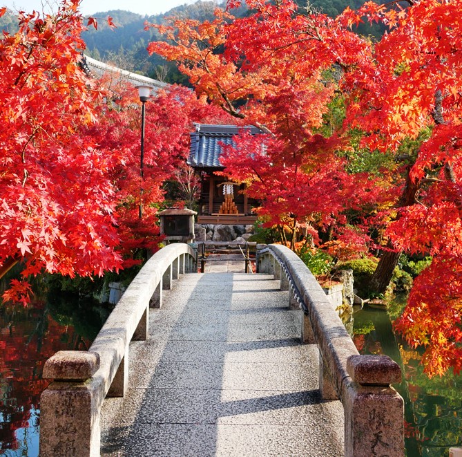 Autumn leaves in Eikando Temple in Kyoto, Japan.