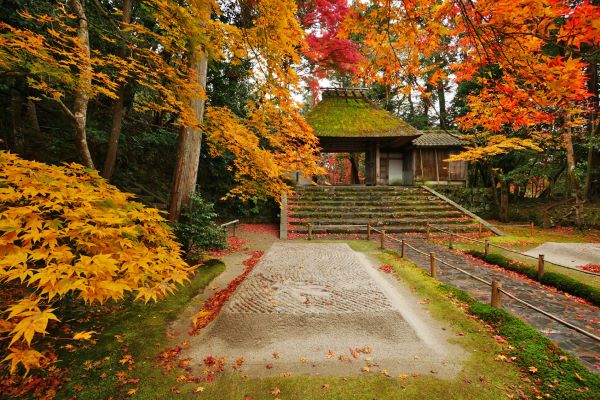 Autumn leaves in Honen-in Temple in Kyoto, Japan.