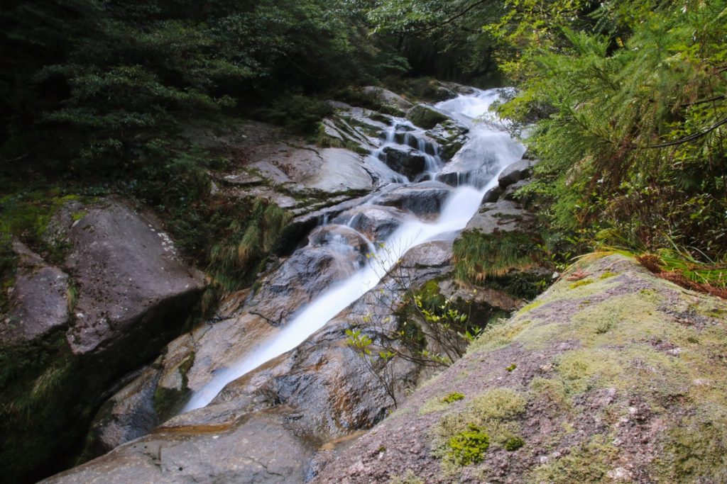 A stream in Shiratani Unsuikyo Ravine in Yakushima, Kagoshima, Japan