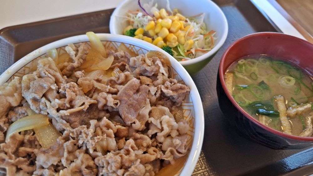 Image of Gyudon, Beef and rice bowl, miso soup, and salad